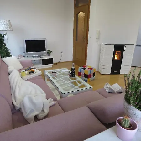 Apartment Winter Iris *